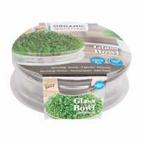 Kiemgroente Glas + Rooster kweekset BIO organic