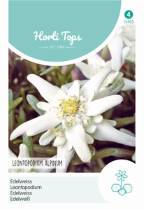 Leontopodium Alpinum (Edelweiss)
