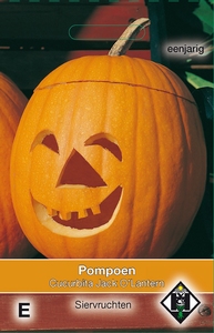 Cucurbita pepo Jack O'Lantern   (pompoenachtige) - Halloween