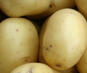 Nicola middellate aardappel, vastkoker 1 kg