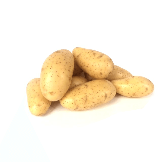 Annabelle zeer vroeg  aardappel, vastkoker 2,5 kg