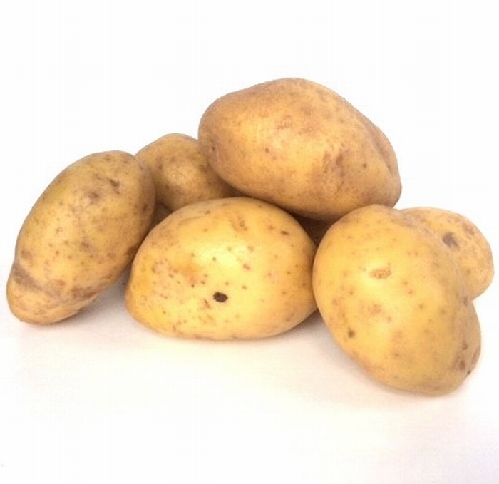 Agria middellate aardappel, kruimige  1 kg
