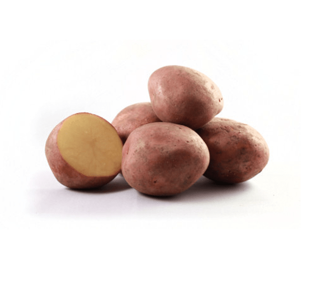 Rode  Bildstar, rode aardappel, laat 2,5 kg