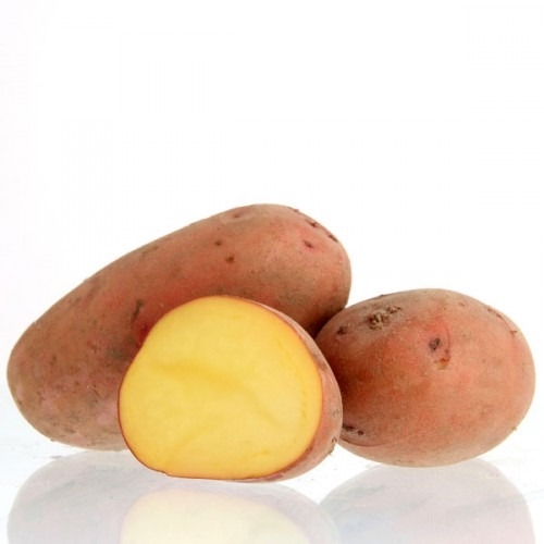 Rode Laura, rode aardappel laat, vastkoker 2,5 kg