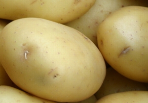 Santé  middelvroege aardappel, bloemig 5 kg