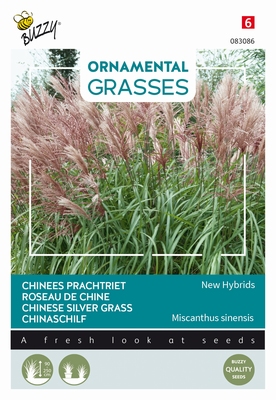 Siergras Ornamental Grasses, Miscanthus s. Neue Hybrid NIEUW