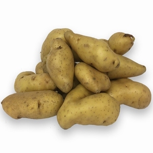 Franse aardappel (Ratte/Ratjes) 'La Ratte d'ardeche' 3kg