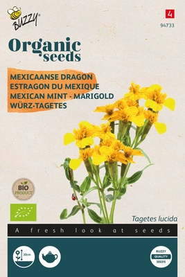 Bio Organic Tagetes Lucida - Mexicaanse Dragon (BIO)