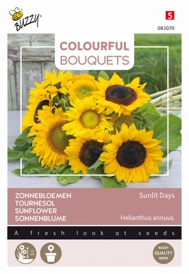 Colorful Bouquets, Sunlit Days (Zonnebloemen halfhoog) op=op