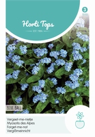 Myosotis alpestris Blue Ball