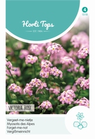 Myosotis Alpestris Victoria Rose