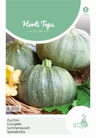 Courgette De Nice A Fruit Rond