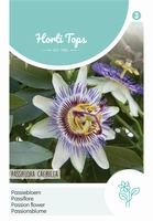 Passiflora caerulea (Passiebloem)