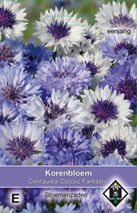 Centaurea cyanus Classic Fantastic