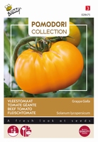 Vleestomaat Brandywine Yellow, forse gele tomaat