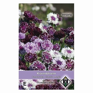 Centaurea Classic Magic