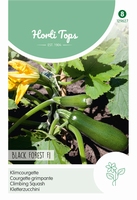 Klim courgette Black Forest F1 Klimcourgette NIEUW 2017