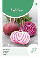 Bieten Chioggia NIEUW