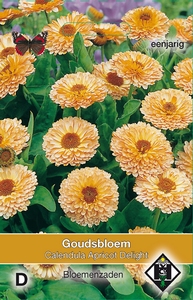 Calendula officinalis Apricot Delight