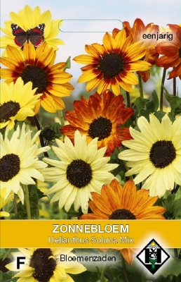 Helianthus a. Paquito Mix