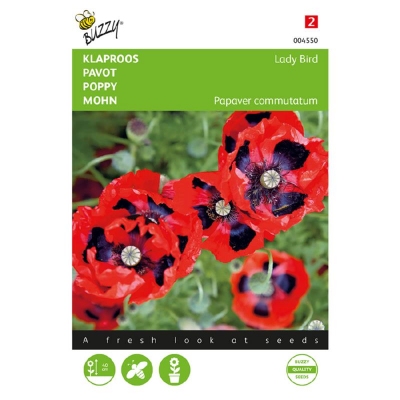 Papaver commutatum Lady Bird